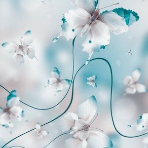 Meet your Posher, Jaime